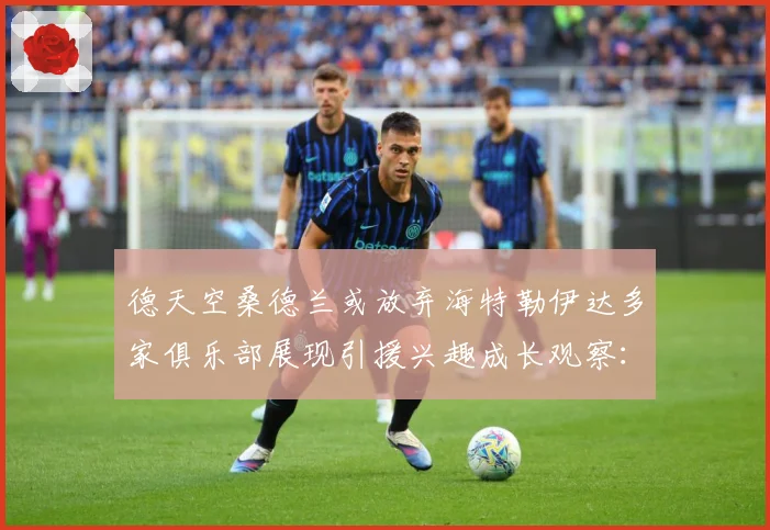 德天空桑德兰或放弃海特勒伊达多家俱乐部展现引援兴趣成长观察：最新赛事动态与深度分析